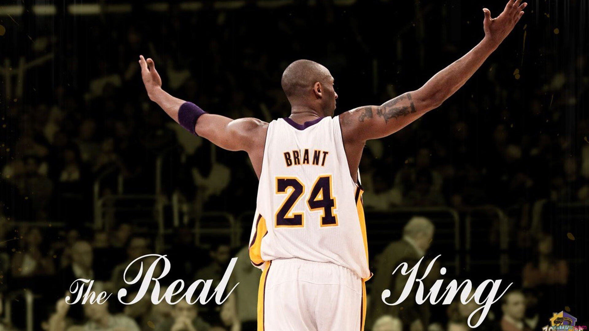 未来五年的技术路线图,未来五年的趋势让所有人胆战心惊